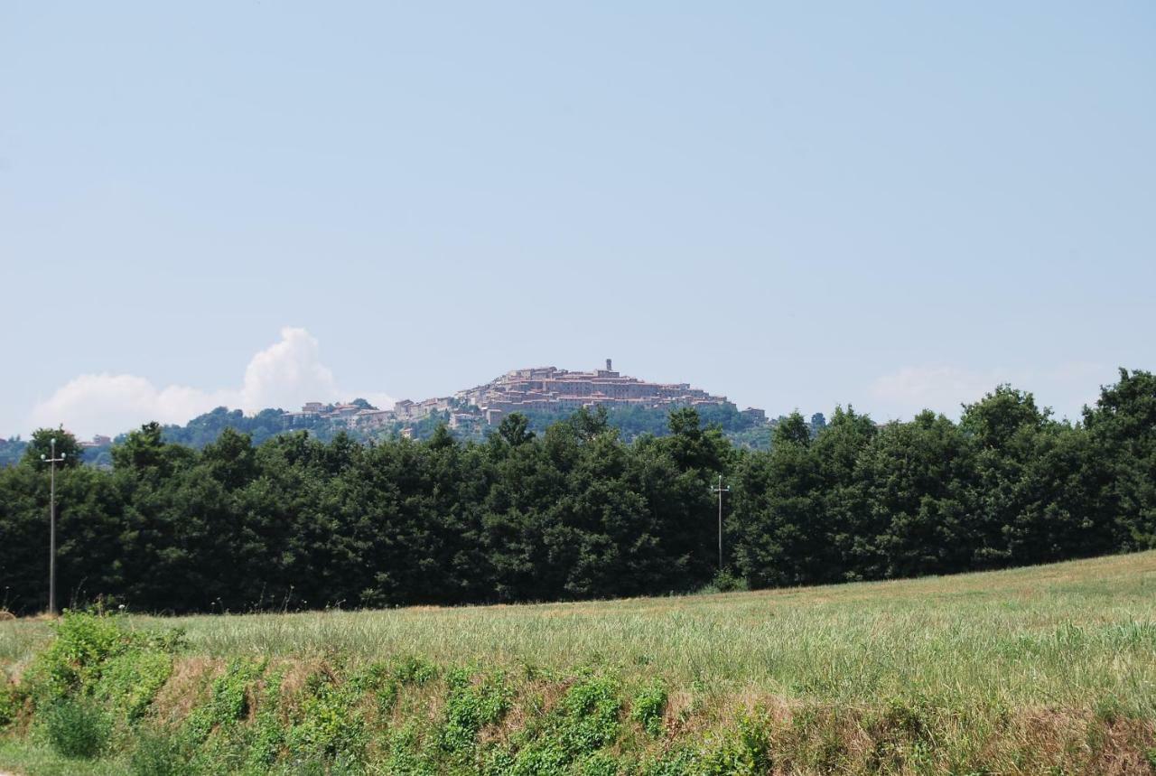 Casa Bartali Holiday home Chiusdino